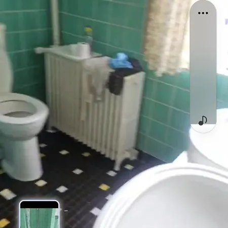 Apartment Rattenfaenger Lebt