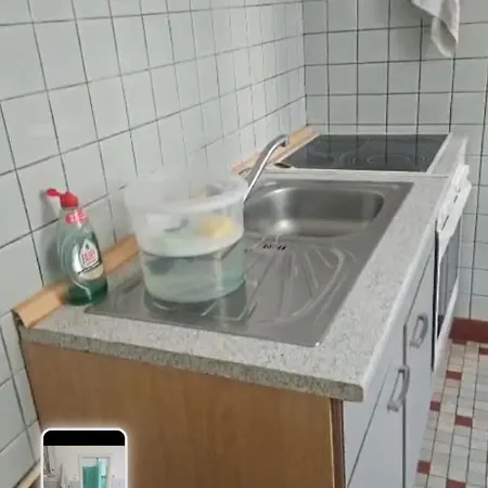 Rattenfaenger Lebt *