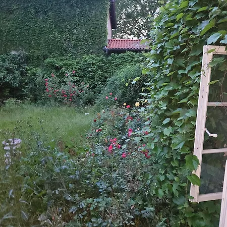 Lejlighed Rattenfaenger Lebt *